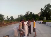 Polsek Kuripan Dorong Ketahanan Pangan Melalui Pendampingan Petani Jagung di Gerung