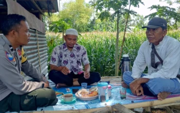 Bhabinkamtibmas Bangun Ketahanan Pangan Lewat Door to Door System
