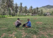 Bhabinkamtibmas Pelangan Gerakkan Warga Tanam Jagung untuk Ketahanan Pangan
