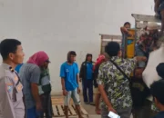 Petani Lega! Jagung Kering Terserap Bulog dengan Harga Acuan Pemerintah