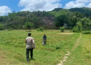 Ketahanan Pangan NTB Diperkuat, Bhabinkamtibmas Ajak Warga Sekotong Tanam Jagung