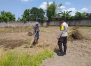 Lombok Barat, NTB – Dalam upaya konkret mendukung Program Ketahanan Pangan Nasional, Bhabinkamtibmas Desa Jagaraga, AIPTU I Gede Dodit, melaksanakan kunjungan dan dialog langsung dengan petani di Dusun Lamper. Kegiatan yang berlangsung pada hari Sabtu, 18 Oktober 2025, pukul 11.00 WITA hingga selesai, ini bertujuan mendorong pemanfaatan lahan produktif secara maksimal oleh warga binaan, baik untuk bercocok tanam maupun beternak atau perikanan. Inisiatif ini merupakan wujud nyata sinergi Polri dan masyarakat dalam menjaga ketersediaan pangan di tingkat lokal. Peran Aktif Polri dalam Mendukung Kemandirian Pangan Daerah Kunjungan Bhabinkamtibmas AIPTU I Gede Dodit di Dusun Lamper difokuskan kepada Bapak Ahmad, salah seorang petani setempat yang memiliki lahan produktif. Dalam pertemuan yang berlangsung hangat dan penuh kekeluargaan, AIPTU I Gede Dodit menyampaikan pentingnya peran aktif masyarakat, terutama para petani dan peternak, dalam menghadapi tantangan ketahanan pangan global. Ia mengajak warga untuk tidak hanya mengandalkan hasil panen utama, tetapi juga memanfaatkan pekarangan rumah atau lahan tidur untuk menanam komoditas pangan cepat panen seperti sayur-sayuran, sebagai bentuk diversifikasi dan cadangan pangan keluarga. Kapolsek Kuripan, Polres Lombok Barat, Polda NTB, Ipda I Wayan Eka Ariyana, S.H., menegaskan bahwa kegiatan ini adalah bagian dari instruksi pimpinan Polri untuk secara masif mengawal dan mendukung program pemerintah. "Peran Bhabinkamtibmas sangat strategis sebagai ujung tombak Polri di desa. Mereka tidak hanya menjaga kamtibmas, tetapi juga menjadi motivator dan penggerak ekonomi kerakyatan, khususnya di sektor pertanian. Kami terus mendorong anggota kami untuk terjun langsung, memastikan warga binaan teredukasi dan tergerak untuk memanfaatkan setiap jengkal lahan yang ada," ujar Ipda I Wayan Eka Ariyana, S.H. Menggali Potensi Lokal Melalui Pemanfaatan Lahan Produktif Inti dari kunjungan tersebut adalah memotivasi Bapak Ahmad dan warga lainnya agar lebih optimal dalam memanfaatkan lahan. AIPTU I Gede Dodit memberikan pemahaman bahwa ketahanan pangan dimulai dari tingkat rumah tangga dan desa. Dengan menanam sayur-sayuran di lahan milik sendiri, warga dapat mengurangi ketergantungan pada pasar, memastikan ketersediaan pangan yang sehat, sekaligus berpotensi meningkatkan pendapatan keluarga. "Saya berdialog dengan Bapak Ahmad, menjelaskan bahwa program ketahanan pangan ini bukan hanya tanggung jawab pemerintah semata, melainkan tanggung jawab kita bersama. Dengan memanfaatkan lahan seoptimal mungkin, kita tidak hanya menjamin ketersediaan pangan keluarga, tapi juga ikut berkontribusi pada ketahanan pangan nasional," kata AIPTU I Gede Dodit. Ia menambahkan, pihaknya siap membantu memfasilitasi komunikasi dengan instansi terkait jika warga membutuhkan bimbingan teknis lebih lanjut mengenai pertanian atau peternakan. Sambutan Positif Warga dan Komitmen Mendukung Program Pemerintah Sambutan dari Bapak Ahmad, petani yang menjadi sasaran kunjungan, menunjukkan antusiasme tinggi terhadap inisiatif ini. Bapak Ahmad menyatakan kesediaannya untuk mendukung program pemerintah dengan mulai menanam berbagai jenis sayur-sayuran di tanah miliknya yang terletak di Dusun Lamper, Desa Jagaraga. "Kami menyambut baik kunjungan dari Bapak Bhabinkamtibmas. Ini sangat memotivasi kami para petani. Kami siap mendukung program ketahanan pangan ini. Kebetulan kami punya lahan, dan arahan dari Bapak Dodit untuk menanam sayur-sayuran sangat masuk akal untuk cadangan pangan keluarga kami. Kami akan segera memulainya," tutur Bapak Ahmad dengan semangat. Hasil dari kegiatan ini tidak hanya terhenti pada komitmen menanam sayuran, tetapi juga berhasil menjalin dan memperkuat tali silaturahmi serta komunikasi yang baik antara Polri dan warga binaan. Komunikasi yang intensif dan berkelanjutan seperti ini sangat penting untuk memastikan program-program pemerintah dapat berjalan lancar dan tepat sasaran di tingkat desa. Secara keseluruhan, kegiatan Bhabinkamtibmas Desa Jagaraga AIPTU I Gede Dodit di Dusun Lamper ini berjalan lancar. Situasi di lokasi terpantau aman dan kondusif, mencerminkan sinergi yang harmonis antara aparat keamanan dan masyarakat. Upaya ini menjadi salah satu pilar penting dalam mewujudkan kemandirian pangan yang berkelanjutan di wilayah Kabupaten Lombok Barat, sekaligus mengukuhkan citra Polri sebagai pengayom dan mitra produktif bagi masyarakat. Keberhasilan ini diharapkan dapat menjadi contoh inspiratif bagi desa-desa lain untuk turut serta aktif dalam program penguatan ketahanan pangan nasional.