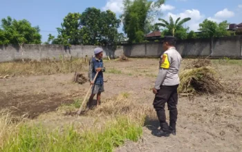 Lombok Barat, NTB – Dalam upaya konkret mendukung Program Ketahanan Pangan Nasional, Bhabinkamtibmas Desa Jagaraga, AIPTU I Gede Dodit, melaksanakan kunjungan dan dialog langsung dengan petani di Dusun Lamper. Kegiatan yang berlangsung pada hari Sabtu, 18 Oktober 2025, pukul 11.00 WITA hingga selesai, ini bertujuan mendorong pemanfaatan lahan produktif secara maksimal oleh warga binaan, baik untuk bercocok tanam maupun beternak atau perikanan. Inisiatif ini merupakan wujud nyata sinergi Polri dan masyarakat dalam menjaga ketersediaan pangan di tingkat lokal. Peran Aktif Polri dalam Mendukung Kemandirian Pangan Daerah Kunjungan Bhabinkamtibmas AIPTU I Gede Dodit di Dusun Lamper difokuskan kepada Bapak Ahmad, salah seorang petani setempat yang memiliki lahan produktif. Dalam pertemuan yang berlangsung hangat dan penuh kekeluargaan, AIPTU I Gede Dodit menyampaikan pentingnya peran aktif masyarakat, terutama para petani dan peternak, dalam menghadapi tantangan ketahanan pangan global. Ia mengajak warga untuk tidak hanya mengandalkan hasil panen utama, tetapi juga memanfaatkan pekarangan rumah atau lahan tidur untuk menanam komoditas pangan cepat panen seperti sayur-sayuran, sebagai bentuk diversifikasi dan cadangan pangan keluarga. Kapolsek Kuripan, Polres Lombok Barat, Polda NTB, Ipda I Wayan Eka Ariyana, S.H., menegaskan bahwa kegiatan ini adalah bagian dari instruksi pimpinan Polri untuk secara masif mengawal dan mendukung program pemerintah. "Peran Bhabinkamtibmas sangat strategis sebagai ujung tombak Polri di desa. Mereka tidak hanya menjaga kamtibmas, tetapi juga menjadi motivator dan penggerak ekonomi kerakyatan, khususnya di sektor pertanian. Kami terus mendorong anggota kami untuk terjun langsung, memastikan warga binaan teredukasi dan tergerak untuk memanfaatkan setiap jengkal lahan yang ada," ujar Ipda I Wayan Eka Ariyana, S.H. Menggali Potensi Lokal Melalui Pemanfaatan Lahan Produktif Inti dari kunjungan tersebut adalah memotivasi Bapak Ahmad dan warga lainnya agar lebih optimal dalam memanfaatkan lahan. AIPTU I Gede Dodit memberikan pemahaman bahwa ketahanan pangan dimulai dari tingkat rumah tangga dan desa. Dengan menanam sayur-sayuran di lahan milik sendiri, warga dapat mengurangi ketergantungan pada pasar, memastikan ketersediaan pangan yang sehat, sekaligus berpotensi meningkatkan pendapatan keluarga. "Saya berdialog dengan Bapak Ahmad, menjelaskan bahwa program ketahanan pangan ini bukan hanya tanggung jawab pemerintah semata, melainkan tanggung jawab kita bersama. Dengan memanfaatkan lahan seoptimal mungkin, kita tidak hanya menjamin ketersediaan pangan keluarga, tapi juga ikut berkontribusi pada ketahanan pangan nasional," kata AIPTU I Gede Dodit. Ia menambahkan, pihaknya siap membantu memfasilitasi komunikasi dengan instansi terkait jika warga membutuhkan bimbingan teknis lebih lanjut mengenai pertanian atau peternakan. Sambutan Positif Warga dan Komitmen Mendukung Program Pemerintah Sambutan dari Bapak Ahmad, petani yang menjadi sasaran kunjungan, menunjukkan antusiasme tinggi terhadap inisiatif ini. Bapak Ahmad menyatakan kesediaannya untuk mendukung program pemerintah dengan mulai menanam berbagai jenis sayur-sayuran di tanah miliknya yang terletak di Dusun Lamper, Desa Jagaraga. "Kami menyambut baik kunjungan dari Bapak Bhabinkamtibmas. Ini sangat memotivasi kami para petani. Kami siap mendukung program ketahanan pangan ini. Kebetulan kami punya lahan, dan arahan dari Bapak Dodit untuk menanam sayur-sayuran sangat masuk akal untuk cadangan pangan keluarga kami. Kami akan segera memulainya," tutur Bapak Ahmad dengan semangat. Hasil dari kegiatan ini tidak hanya terhenti pada komitmen menanam sayuran, tetapi juga berhasil menjalin dan memperkuat tali silaturahmi serta komunikasi yang baik antara Polri dan warga binaan. Komunikasi yang intensif dan berkelanjutan seperti ini sangat penting untuk memastikan program-program pemerintah dapat berjalan lancar dan tepat sasaran di tingkat desa. Secara keseluruhan, kegiatan Bhabinkamtibmas Desa Jagaraga AIPTU I Gede Dodit di Dusun Lamper ini berjalan lancar. Situasi di lokasi terpantau aman dan kondusif, mencerminkan sinergi yang harmonis antara aparat keamanan dan masyarakat. Upaya ini menjadi salah satu pilar penting dalam mewujudkan kemandirian pangan yang berkelanjutan di wilayah Kabupaten Lombok Barat, sekaligus mengukuhkan citra Polri sebagai pengayom dan mitra produktif bagi masyarakat. Keberhasilan ini diharapkan dapat menjadi contoh inspiratif bagi desa-desa lain untuk turut serta aktif dalam program penguatan ketahanan pangan nasional.