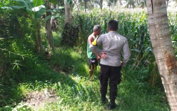 Kunjungan Inspiratif Aiptu Dodit Dorong Ketahanan Pangan di Kuripan