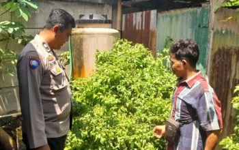 Inisiatif Bhabinkamtibmas Senggigi: Warga Diajak Mandiri Pangan