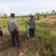 Panen Jagung Manis di Karang Bongkot Dihadiri Bhabinkamtibmas