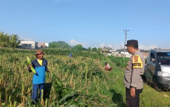 Peran Nyata Bhabinkamtibmas dalam Meningkatkan Kesejahteraan Petani