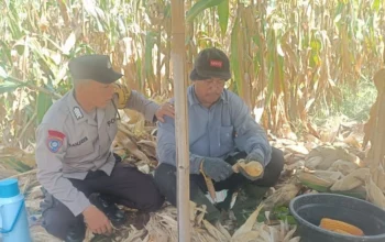 Polres Lombok Barat Kawal Stabilitas Harga Beras untuk Lindungi Warga