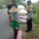Sinergi Polri dan Petani, Panen Jagung di Dasan Geres Sukses Besar