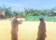 Sinergi Polisi dan Petani Jaga Pasokan Jagung di Lombok Barat