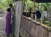 Bhabinkamtibmas Senggigi Ajak Warga Kelola Lahan Kosong Jadi Sumber Pangan