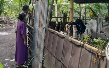 Bhabinkamtibmas Senggigi Ajak Warga Kelola Lahan Kosong Jadi Sumber Pangan