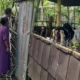 Polisi Turun ke Desa, Dorong Ketahanan Pangan dari Rumah Sendiri
