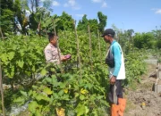 Bhabinkamtibmas Ajak Warga Optimalkan Pekarangan untuk Ketahanan Pangan