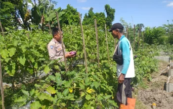 Bhabinkamtibmas Ajak Warga Optimalkan Pekarangan untuk Ketahanan Pangan