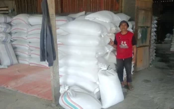 Ketahanan Pangan NTB: Polisi Kawal Serapan Jagung Petani