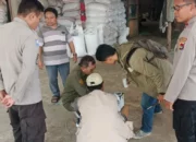 Kualitas Jagung Batulayar Capai Standar BULOG, Polsek Apresiasi Petani