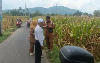 Polsek Gerung Turun ke Sawah, Bukti Nyata Dukung Ketahanan Pangan