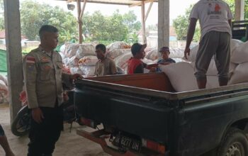 Polsek Sekotong Jamin Jagung Petani Terserap Bulog Tanpa Hambatan