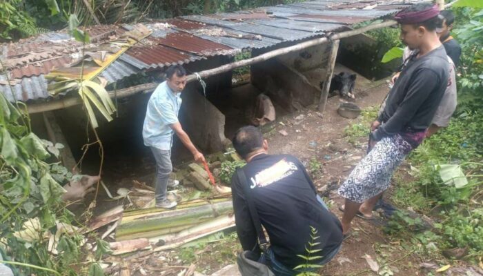 Warga Gunungsari Tewas Tersengat Listrik Saat Tebang Pohon Pisang