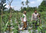 Sinergi Polri-Warga: Pekarangan Rumah Jadi Kunci Mandiri Pangan