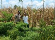 Langkah Praksis Polsek Gerung: Edukasi Pemanfaatan Lahan Kosong