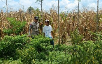 Polri Ajak Warga Lombok Barat Perkuat Ketahanan Pangan Keluarga