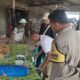 Sinergi Polri dan Petani Lombok Barat Dorong Ketahanan Pangan Daerah