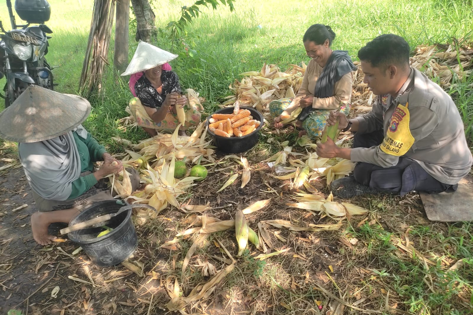 Dari Lahan Pekarangan, Polri Bangun Ketahanan Pangan di Desa