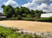 Sinergi Polri dan Bulog: Petani Lombok Barat Kini Lebih Sejahtera