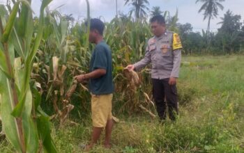 Sinergi Polri dan Warga Wujudkan Kemandirian Pangan di Lombok Barat