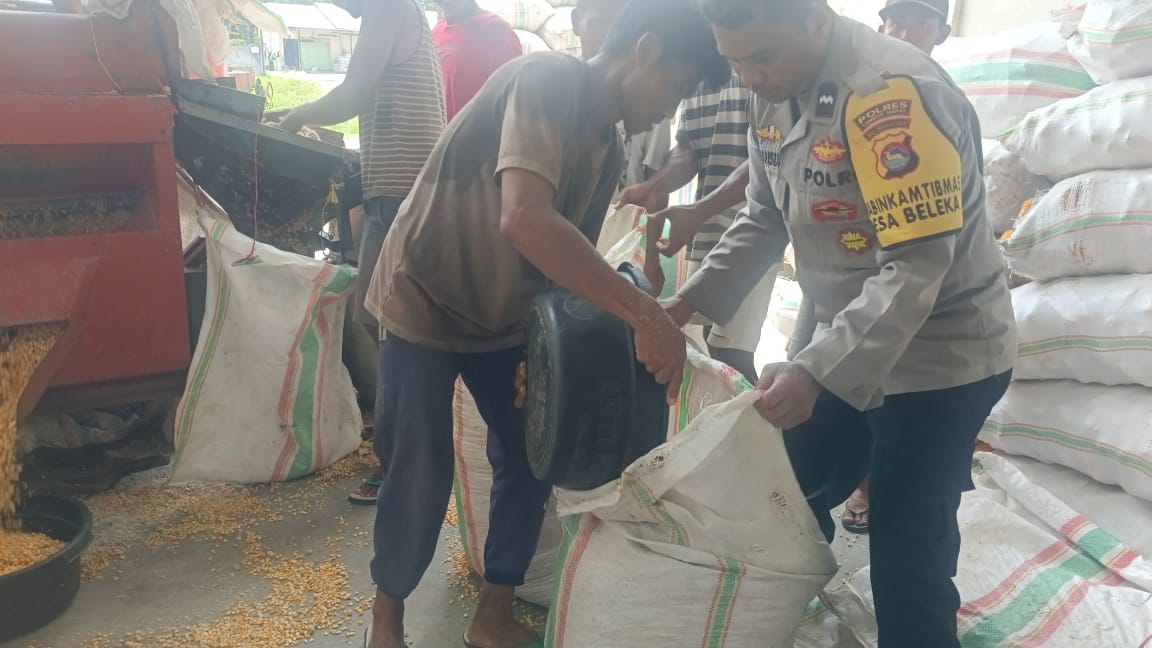 Jaga Kualitas, Polri Bantu Petani Lombok Barat Pipil Jagung