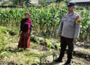 Langkah Nyata Polsek Labuapi Dukung Ketahanan Pangan Keluarga