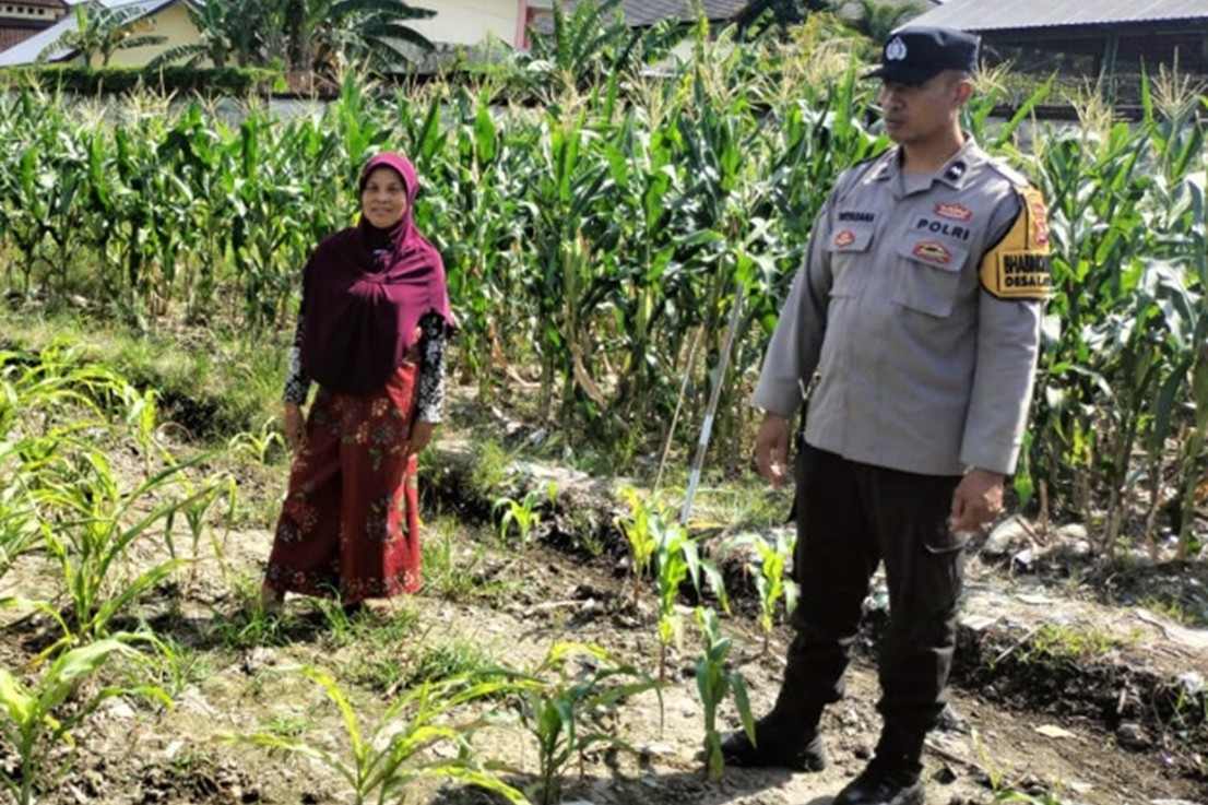 Langkah Nyata Polsek Labuapi Dukung Ketahanan Pangan Keluarga