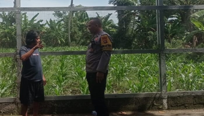 Polsek Labuapi Gencarkan Edukasi Pangan Keluarga di Lombok Barat