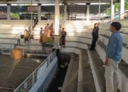 Arena Sabung Ayam di Cakranegara Dibubarkan, Polresta Mataram Gerak Cepat Tindak Lanjuti Laporan Warga