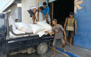 Sukses Panen: 25 Karung Jagung Petani Lombok Barat Terserap Bulog