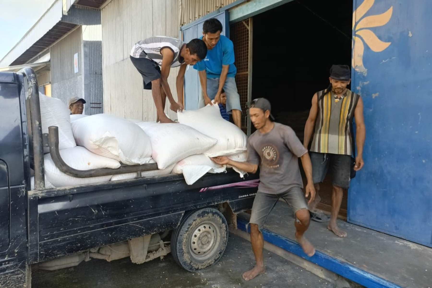 Sukses Panen: 25 Karung Jagung Petani Lombok Barat Terserap Bulog