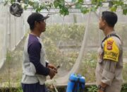 Bhabinkamtibmas Labuapi Dampingi Warga Olah Lahan Pekarangan