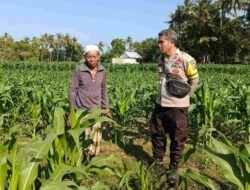 Bhabinkamtibmas Edukasi Warga Sandik Manfaatkan Lahan Tidur