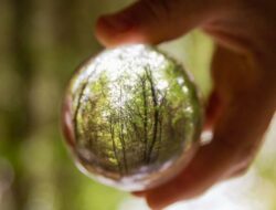 Pentingnya Tanggung Jawab Sosial dan Lingkungan dalam Bisnis