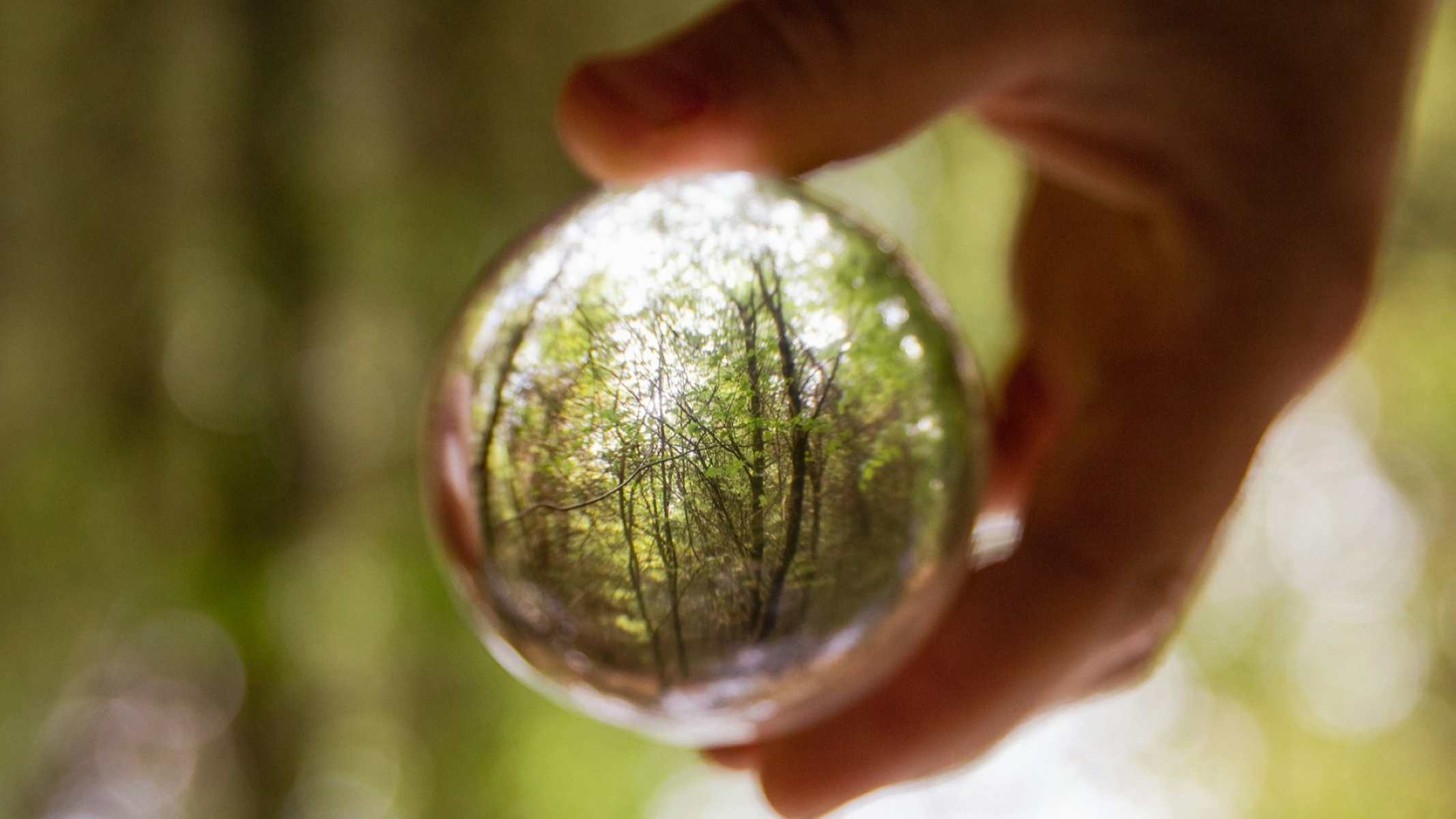 Pentingnya Tanggung Jawab Sosial dan Lingkungan dalam Bisnis