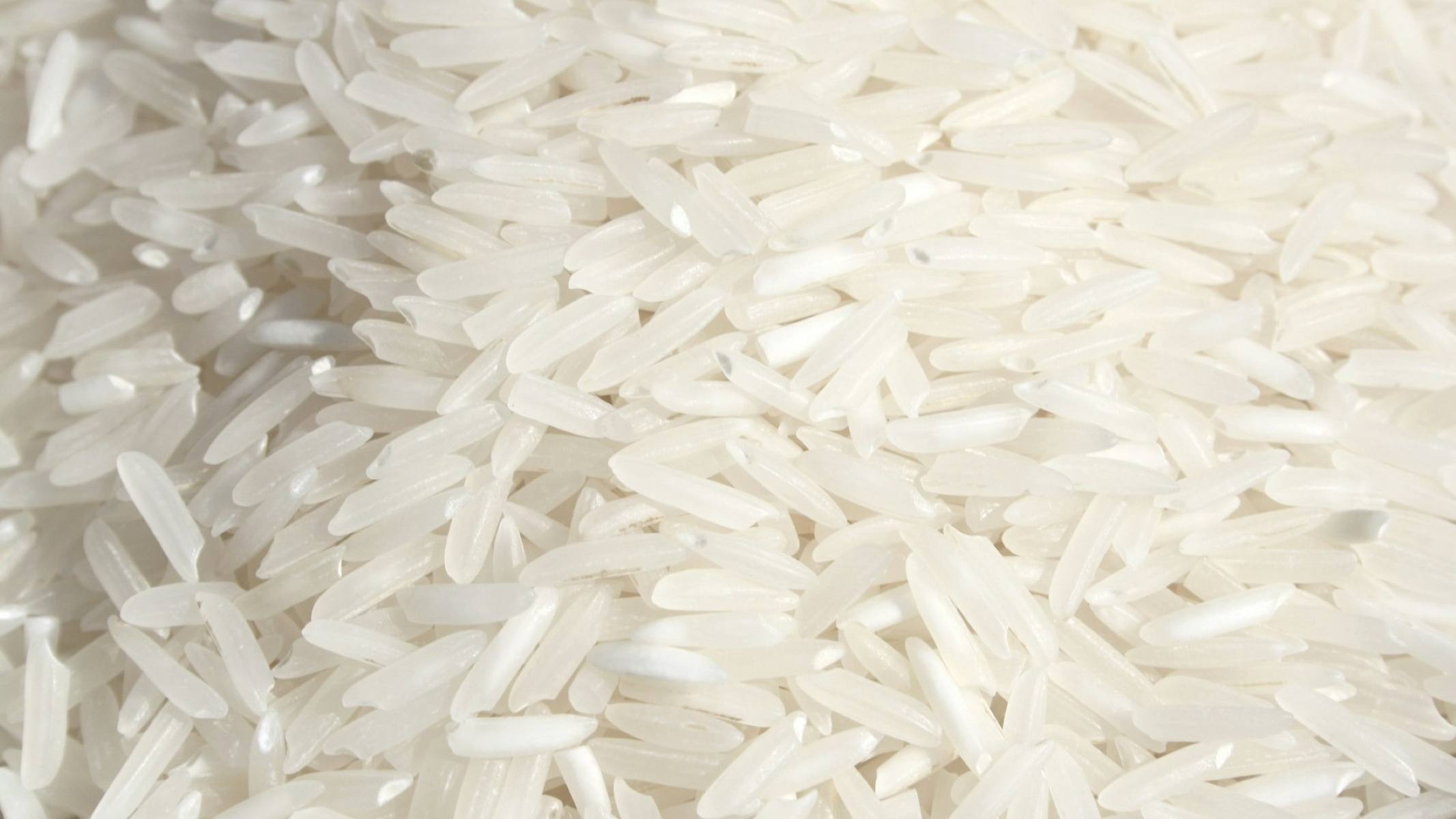 Mengenal Karakteristik Utama Beras Organik