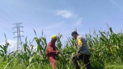 Polres Lobar Dorong Pemanfaatan Lahan di Kuranji Dalang
