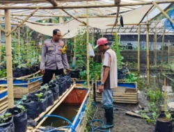 Bhabinkamtibmas Desa Bajur Edukasi Warga Manfaatkan Lahan Sempit