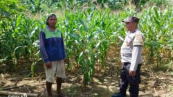 Polsek Gerung Dorong Pemanfaatan Lahan Pekarangan di Giri Tembesi