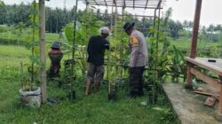 Bhabinkamtibmas Edukasi Warga Manfaatkan Lahan Produktif