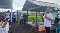 Padi Menguning di Seluruh Negeri: Panen Raya Jadi Simbol Kebangkitan Pertanian Indonesia di Tahun 2026