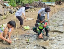 Sinergi Hijau di Pesisir Sekotong: Aksi Nyata Babinsa dan Mahasiswa Tanam Mangrove Demi Kelestarian Alam