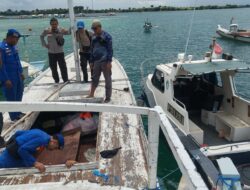 Gagal Menyeberang! Pelarian 6 Imigran Gelap Berakhir di Tangan Polisi Saat Singgah di Pulau Maringkik